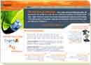 Brochure and Print Design